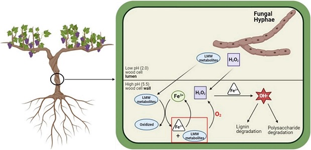 GTD Fig 4